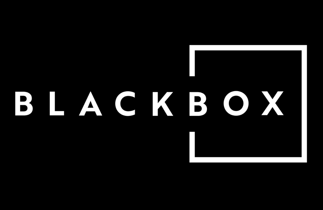 The Black Box Era: Understanding Black GEO and Black SEO in Today’s Digital World